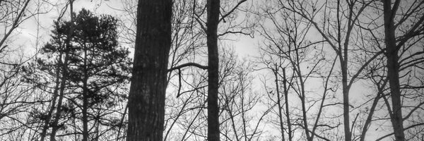 fivetwothree Profile Banner