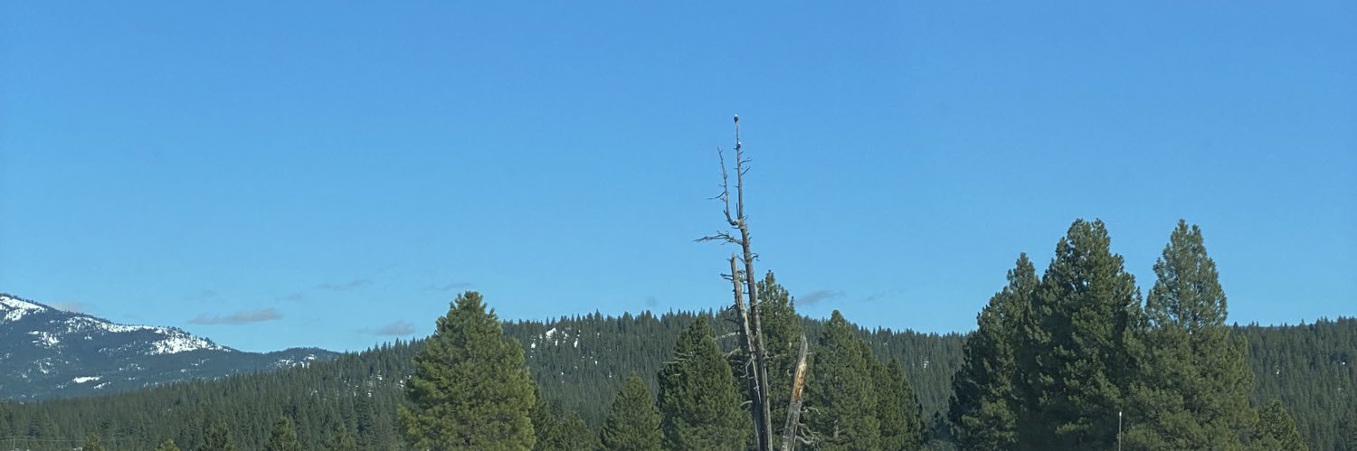 C. Darwin PhD 🧢 banner