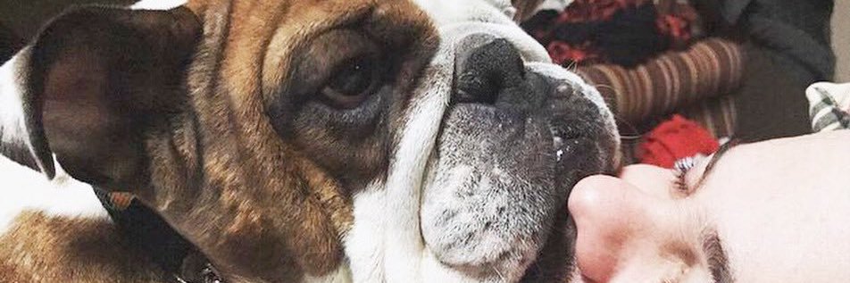 Cort Freeman (Lord of Kerry) banner