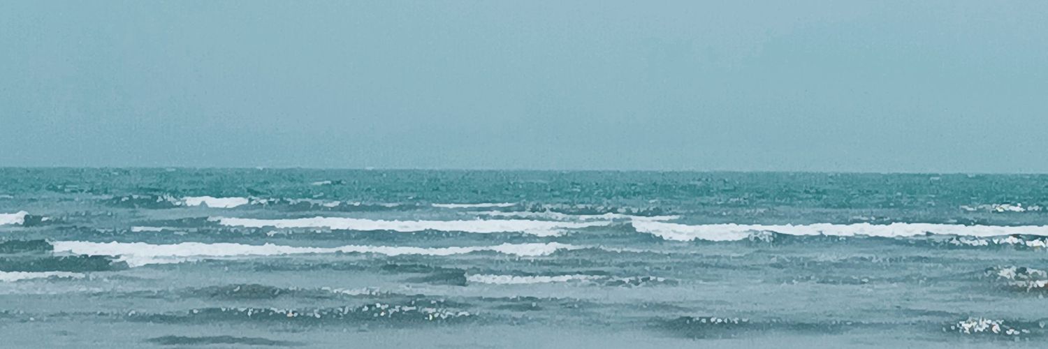 chanssnuggles's profile banner image