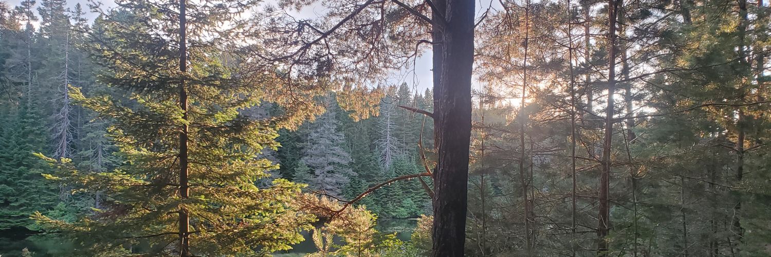 benhabsch's profile banner image