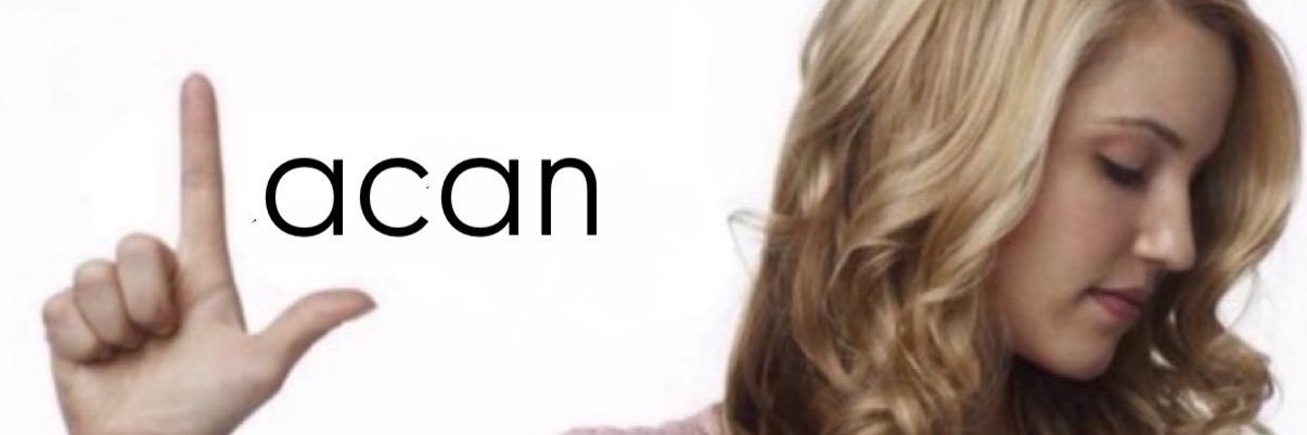 os desastres de sofia banner