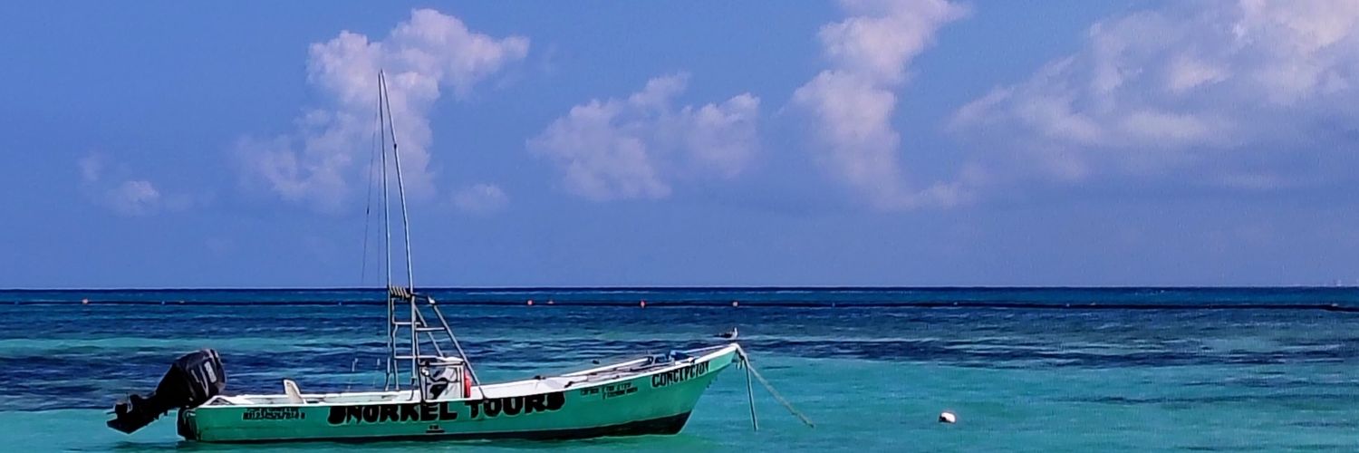 silvia_edithchi's profile banner image