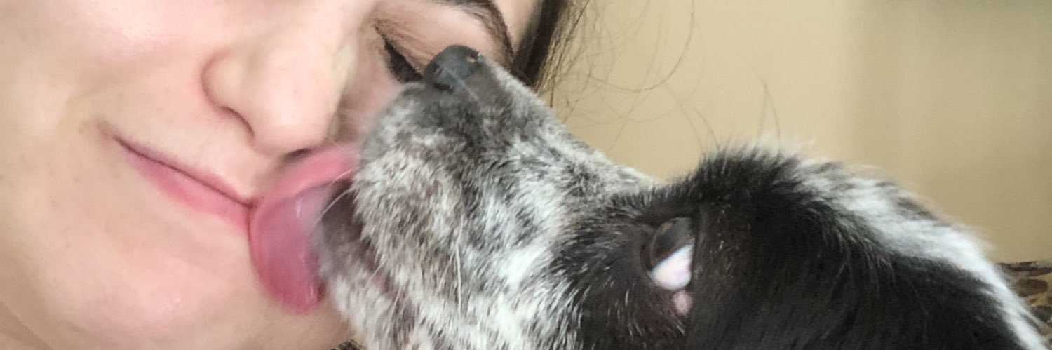 Carlyannsam's profile banner image
