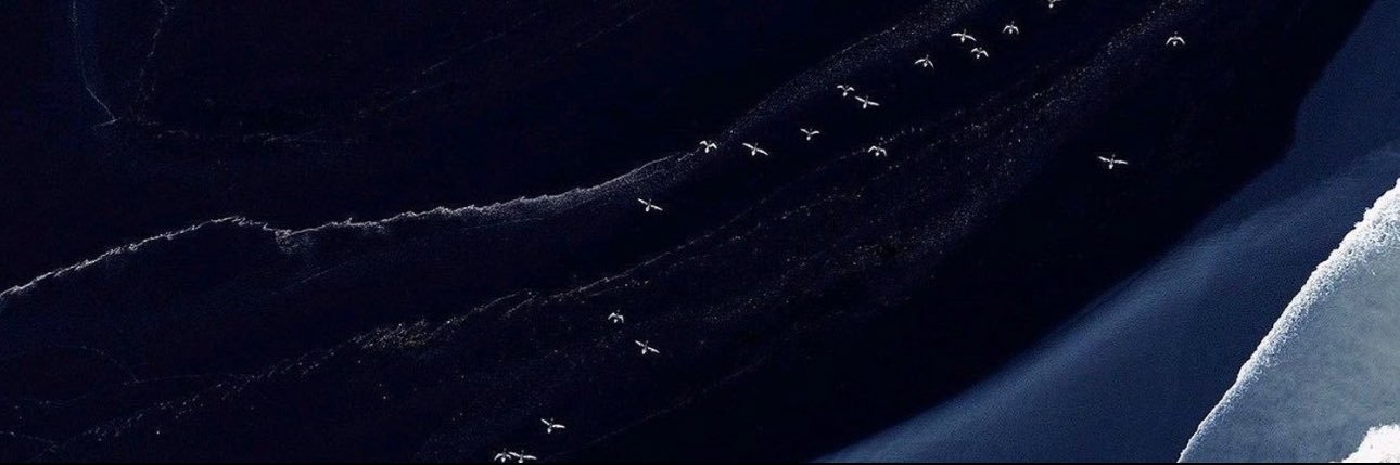 فـٰ✨ banner
