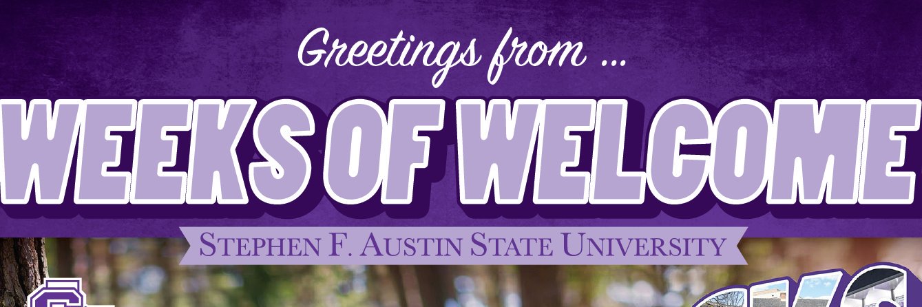 sfa_wow's profile banner image
