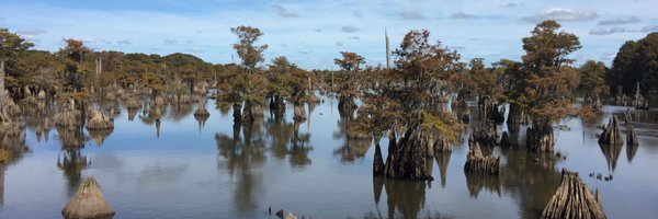 JeffBurlew Profile Banner