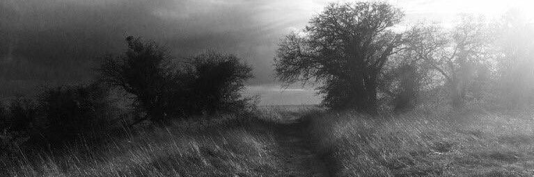 Eva Strus banner