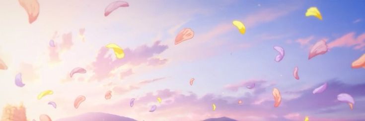 agusek_'s profile banner image