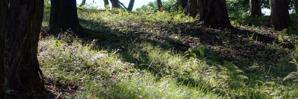 MorishitaSetsuo Profile Banner