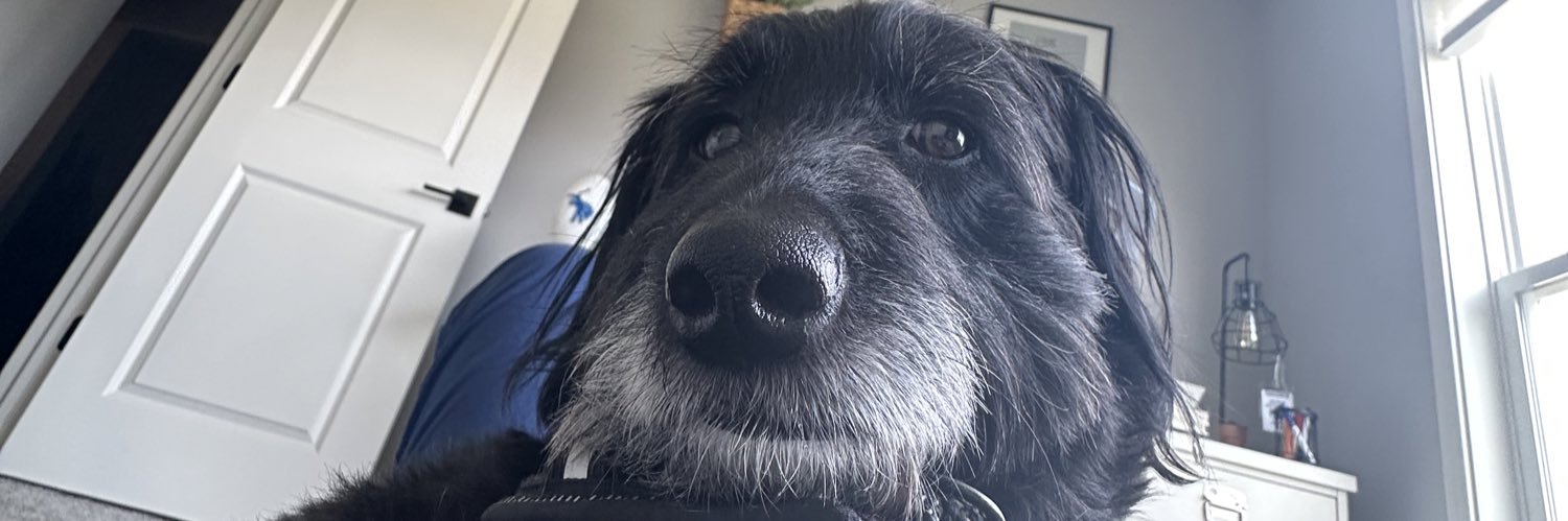 malloryyy_rose's profile banner image
