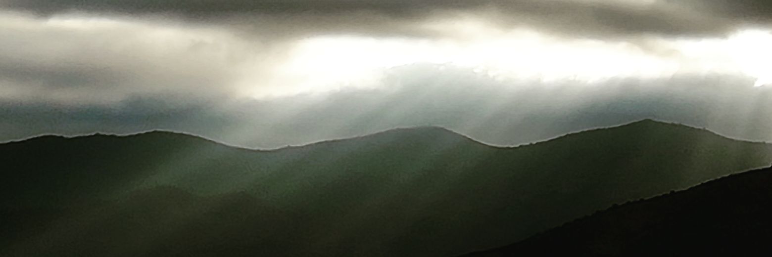 yanitadela's profile banner image