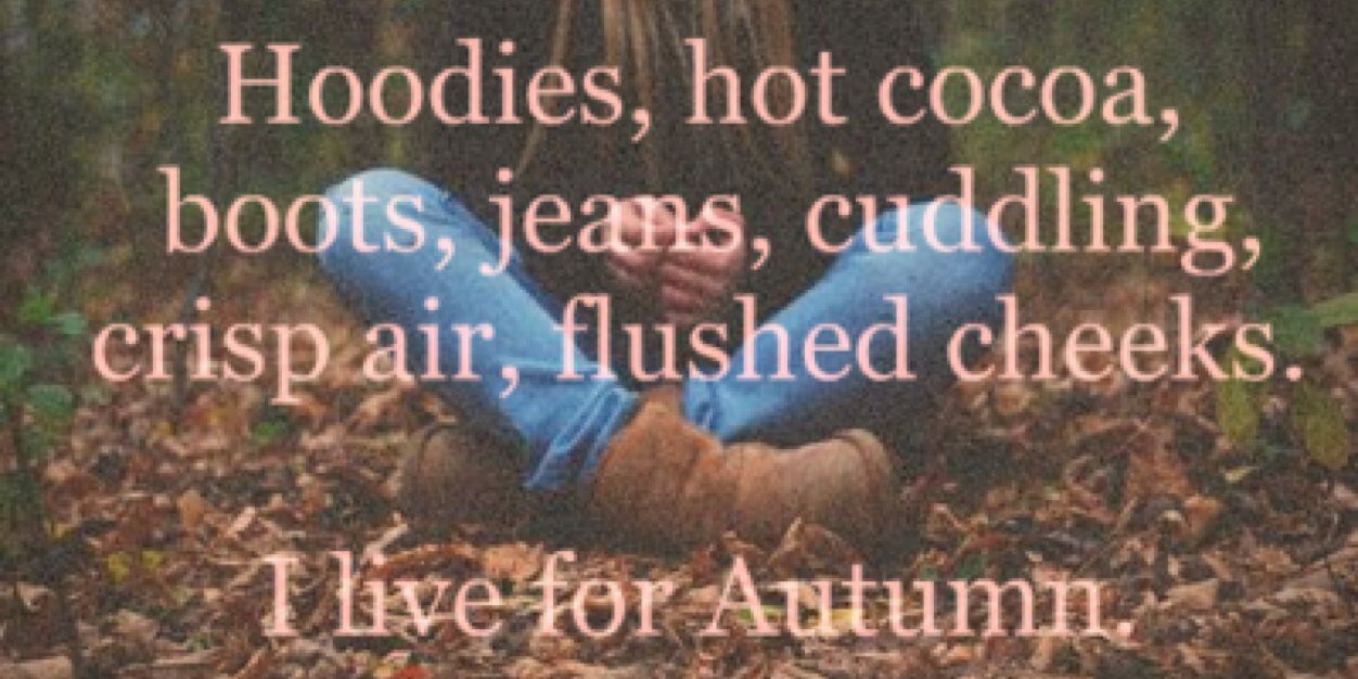 lily_bouchard's profile banner image