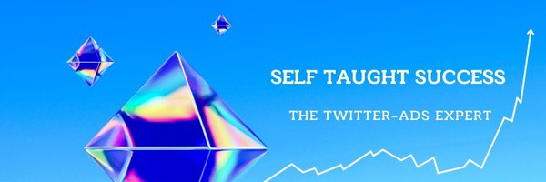 SelfTSuccess Profile Banner