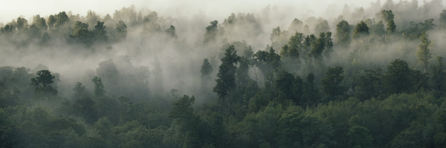 WoodWatch's profile banner image