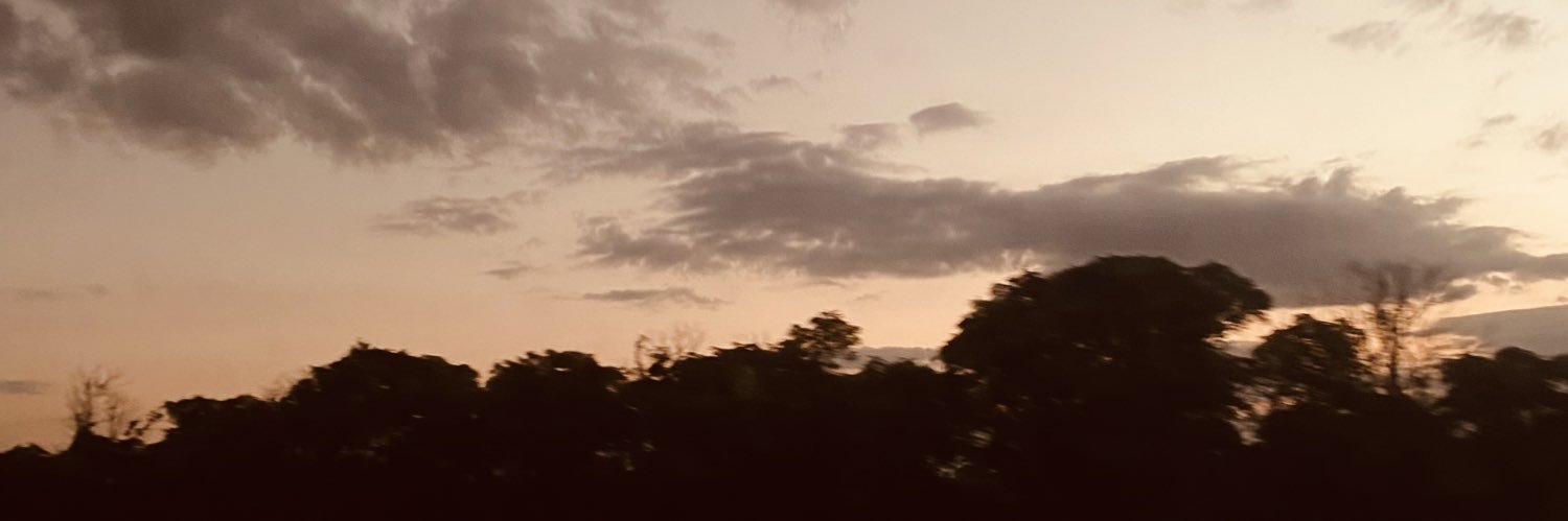 _soltosolini_'s profile banner image