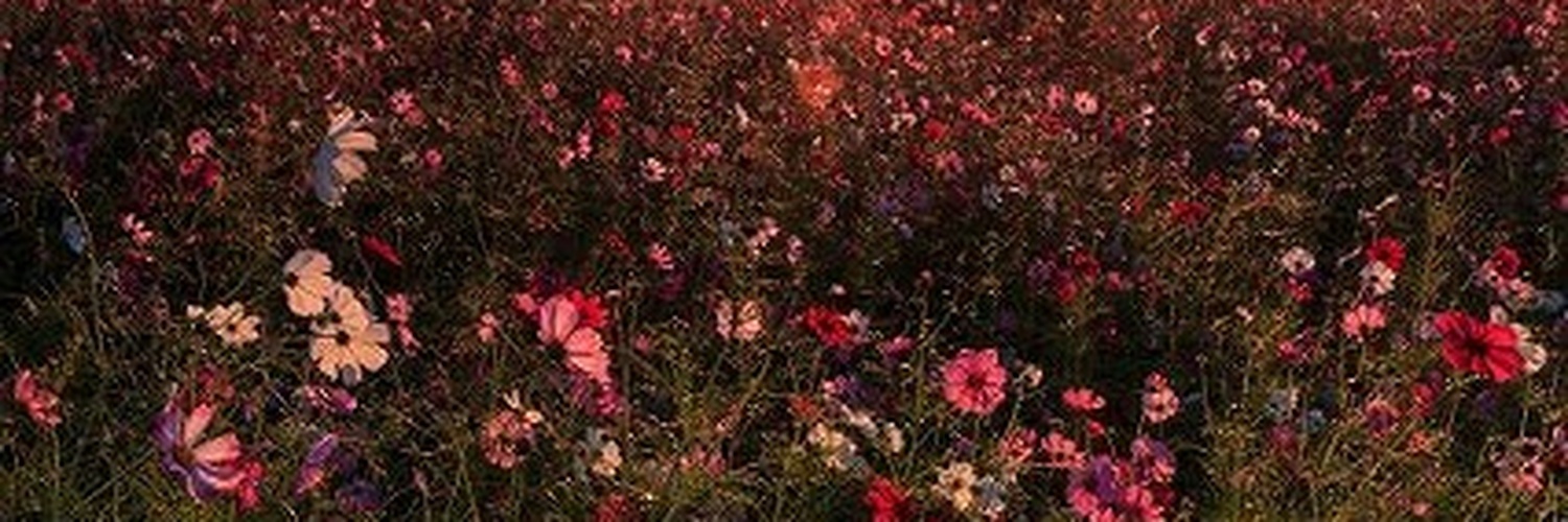 jackmeoff111's profile banner image