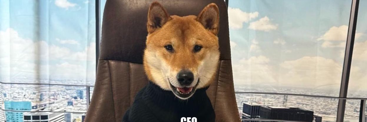 CupIcey's profile banner image