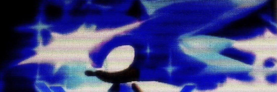 sludge's banner