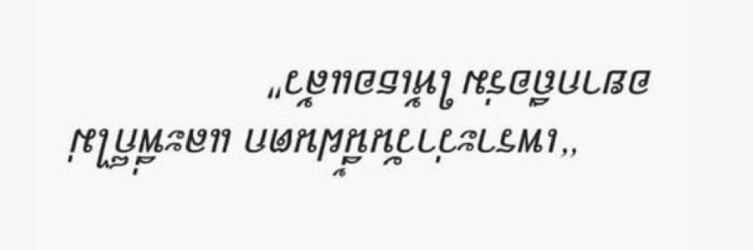 / banner