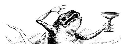TrueBasicSense's profile banner image