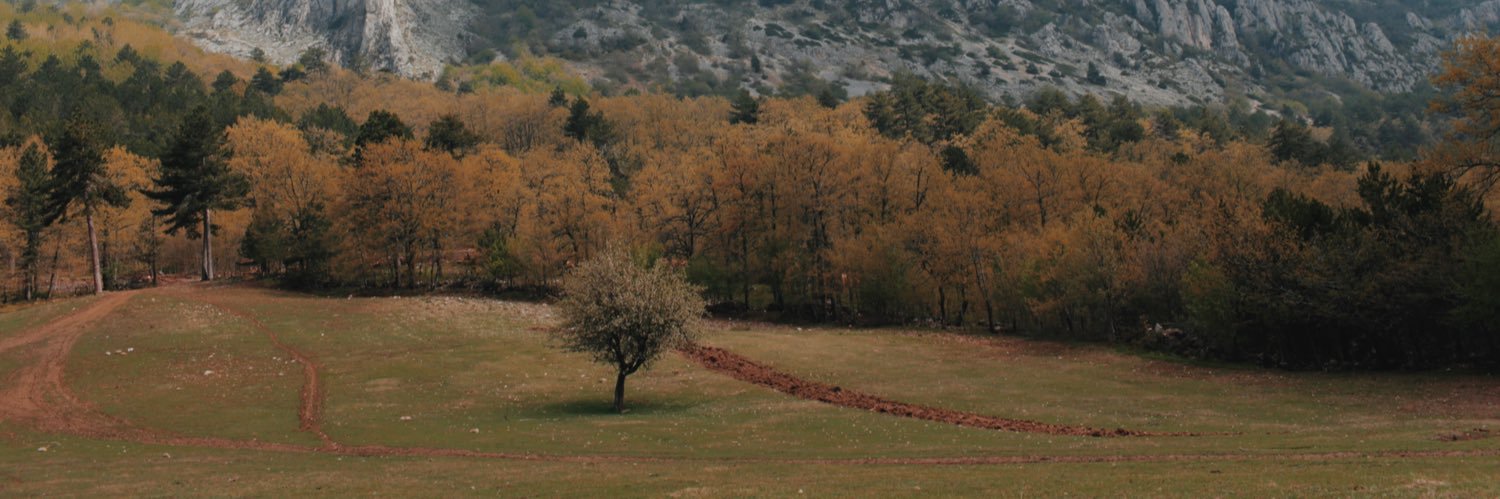 bkrsln's profile banner image