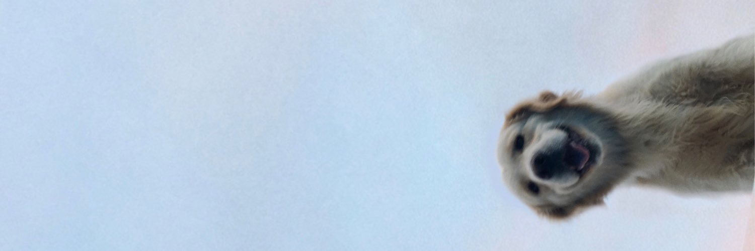 sunbz__'s profile banner image