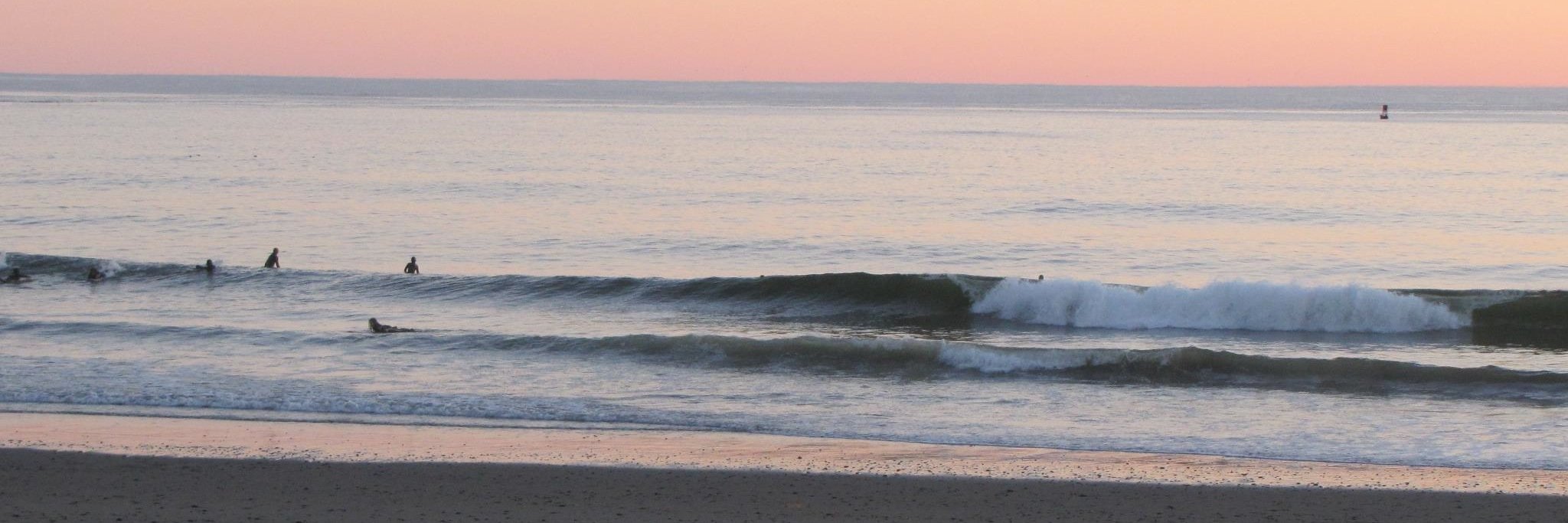 SEAsurfrider's profile banner image