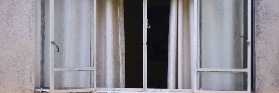 Anjelilla's profile banner image