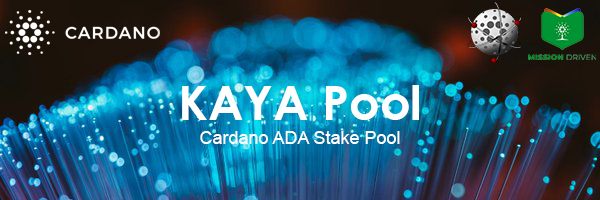 0 % Fee Cardano Singapore Pool Profile Banner