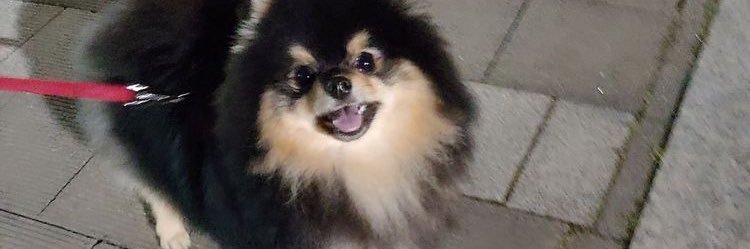 25 banner