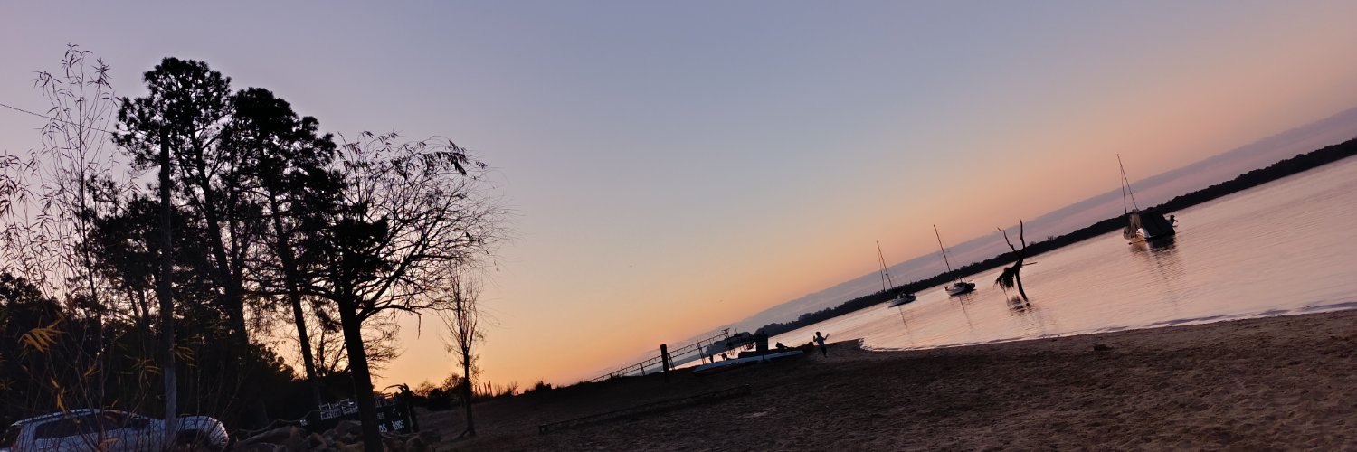 Fohgela_'s profile banner image