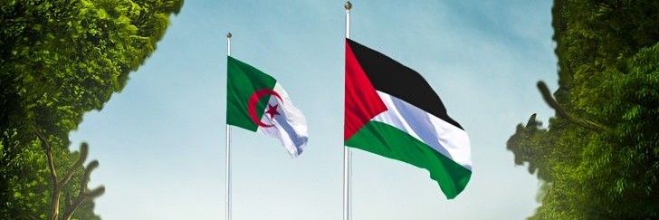 Hasnaouikhalid's profile banner image