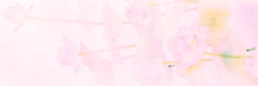 𐙚ﾟlia! *◌ banner