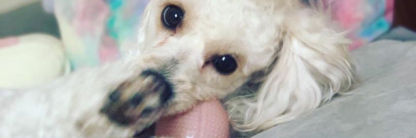 KarlaGonz48's profile banner image