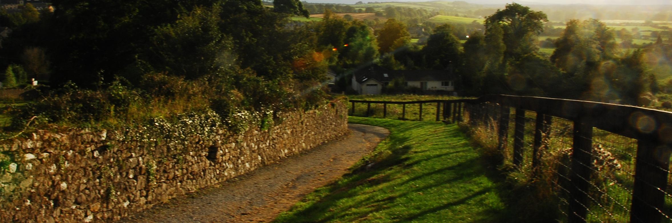 DocsNorton's profile banner image