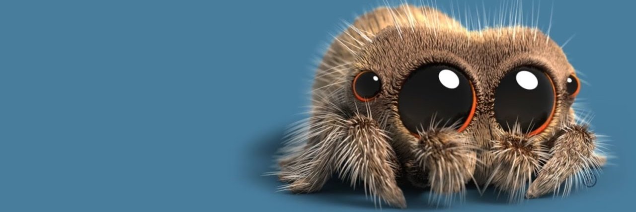 aaaraujof's profile banner image
