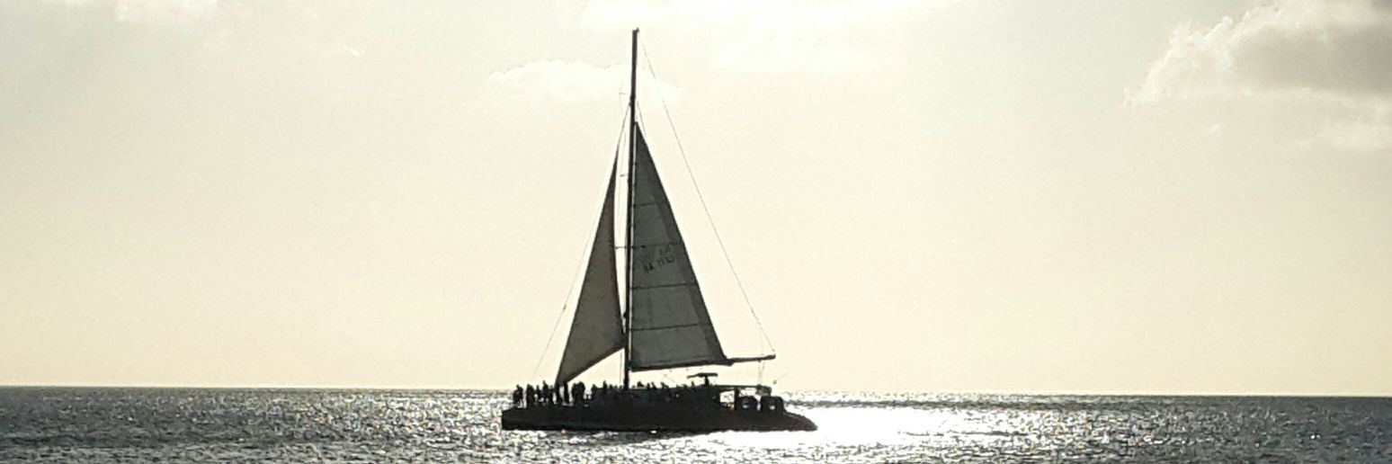 panga88's profile banner image
