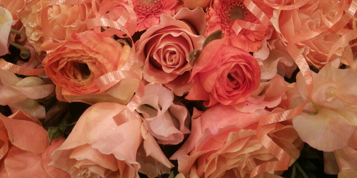 816216's profile banner image