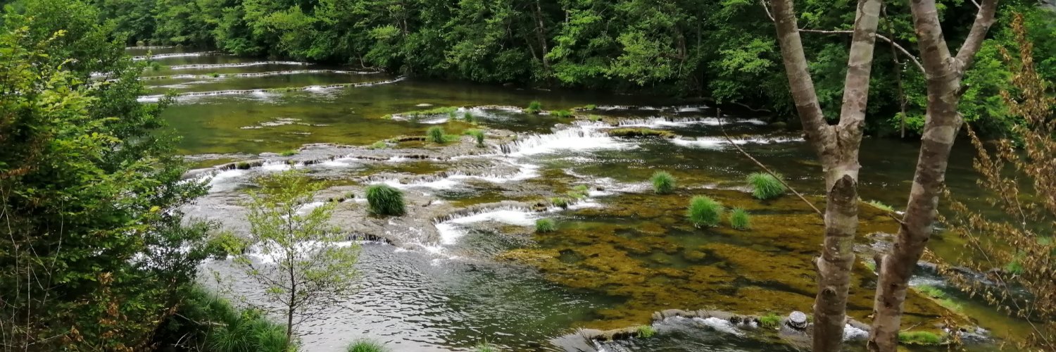 MUSE - multiple stressors in freshwater banner