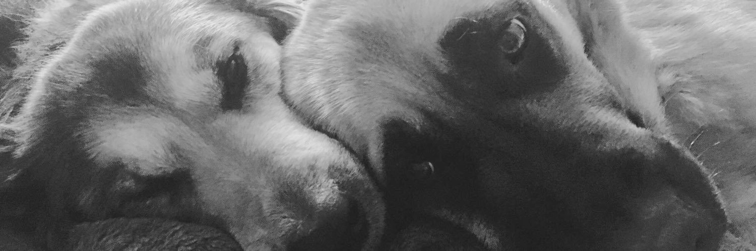 hlmanser's profile banner image