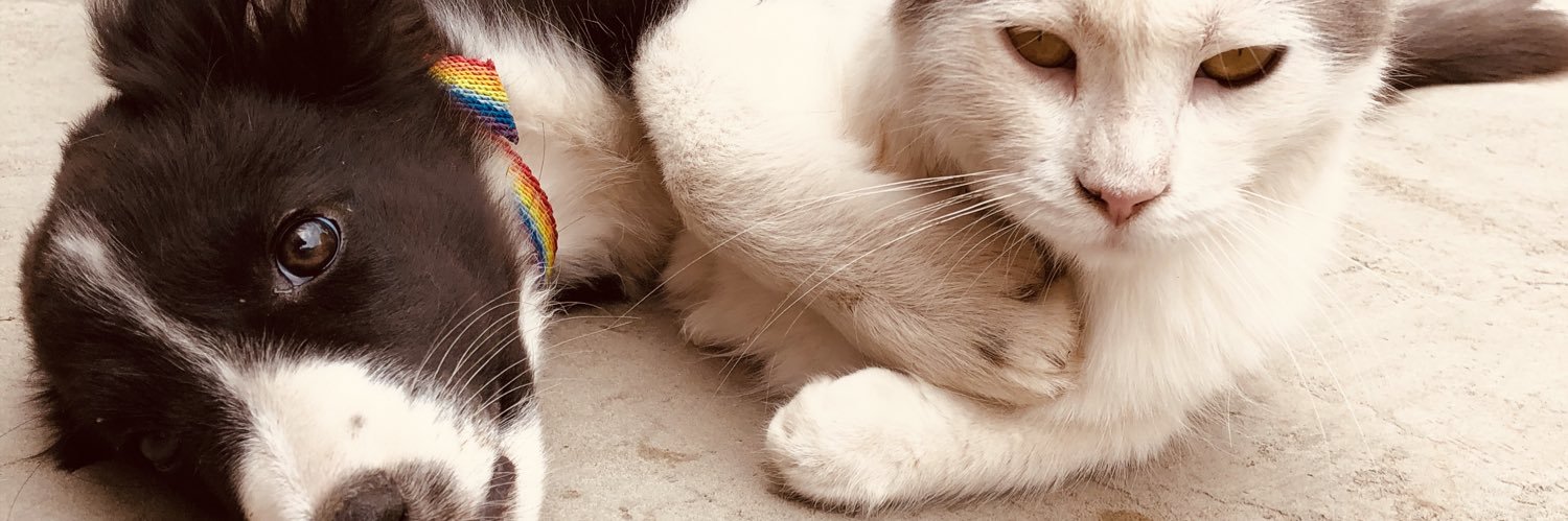 claratobar's profile banner image