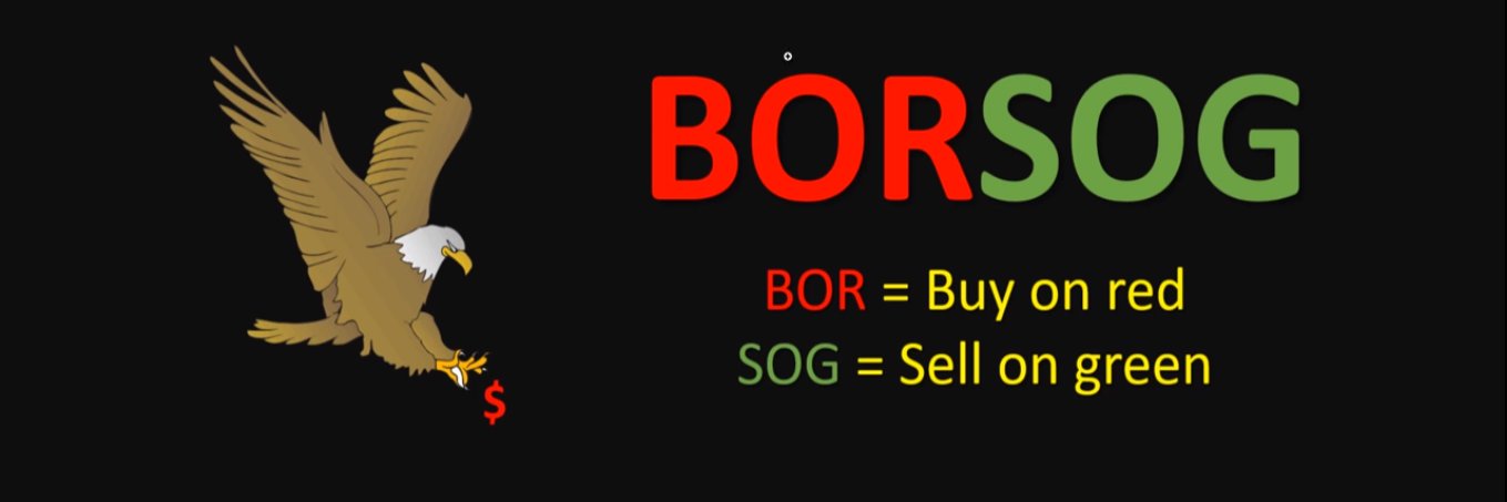 CryptoTurtle CTKS Ambassador banner