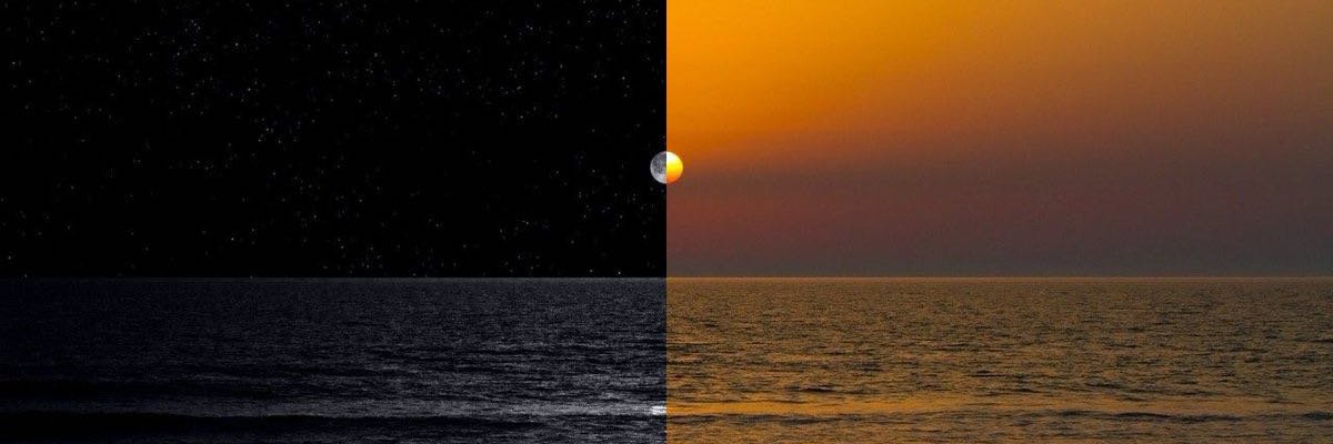 eric_benedinii's profile banner image