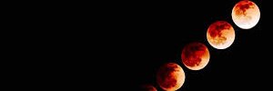 slimybitcoin123's profile banner image