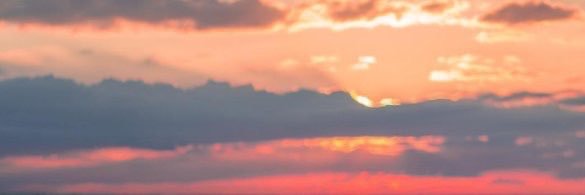 CoolPawMickey's profile banner image