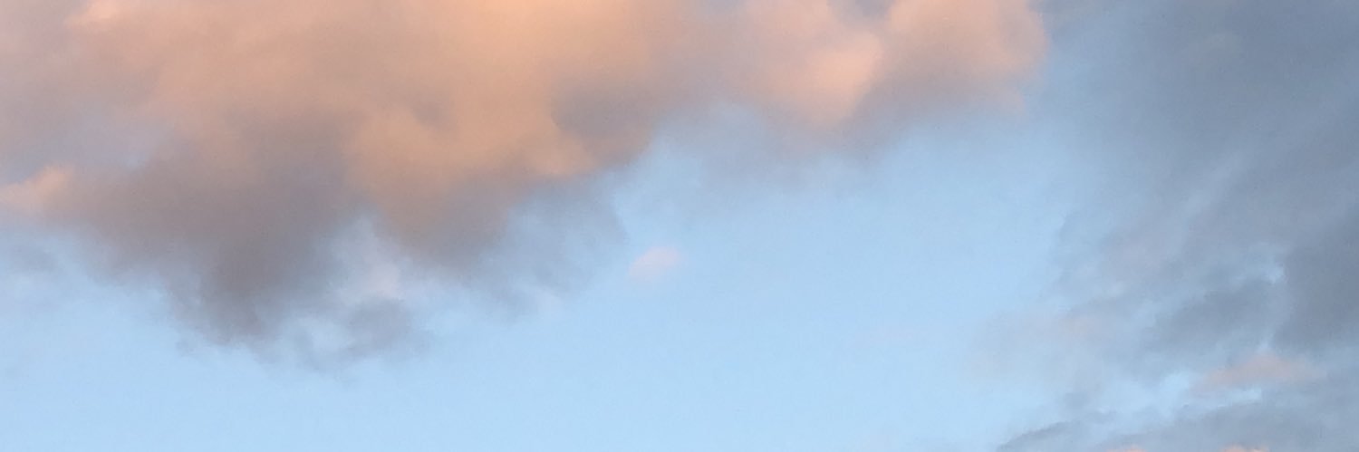 chaneIiman's profile banner image