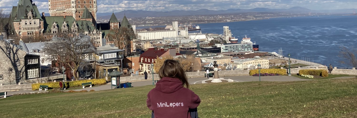 MiniLepers's profile banner image