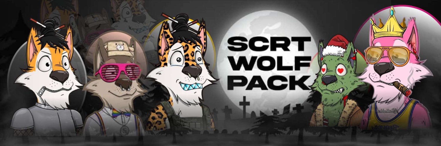 WolfBytes.secret banner