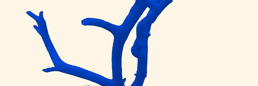 iRobina banner